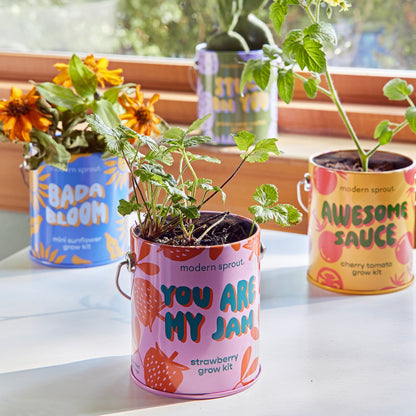 Playful Colors Grow Kits
