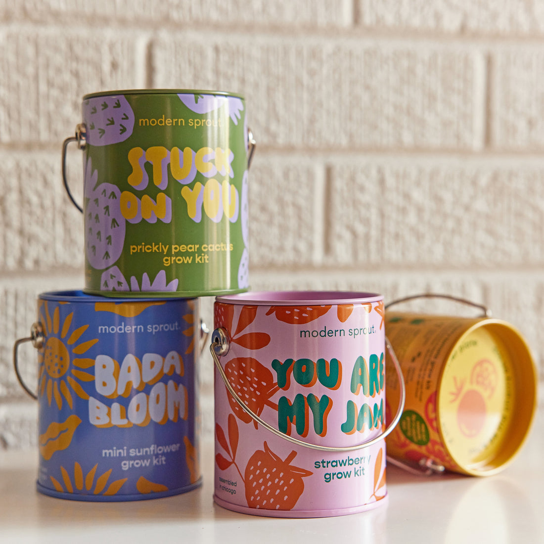 Playful Colors Grow Kits