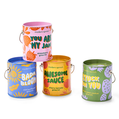 Playful Colors Grow Kits