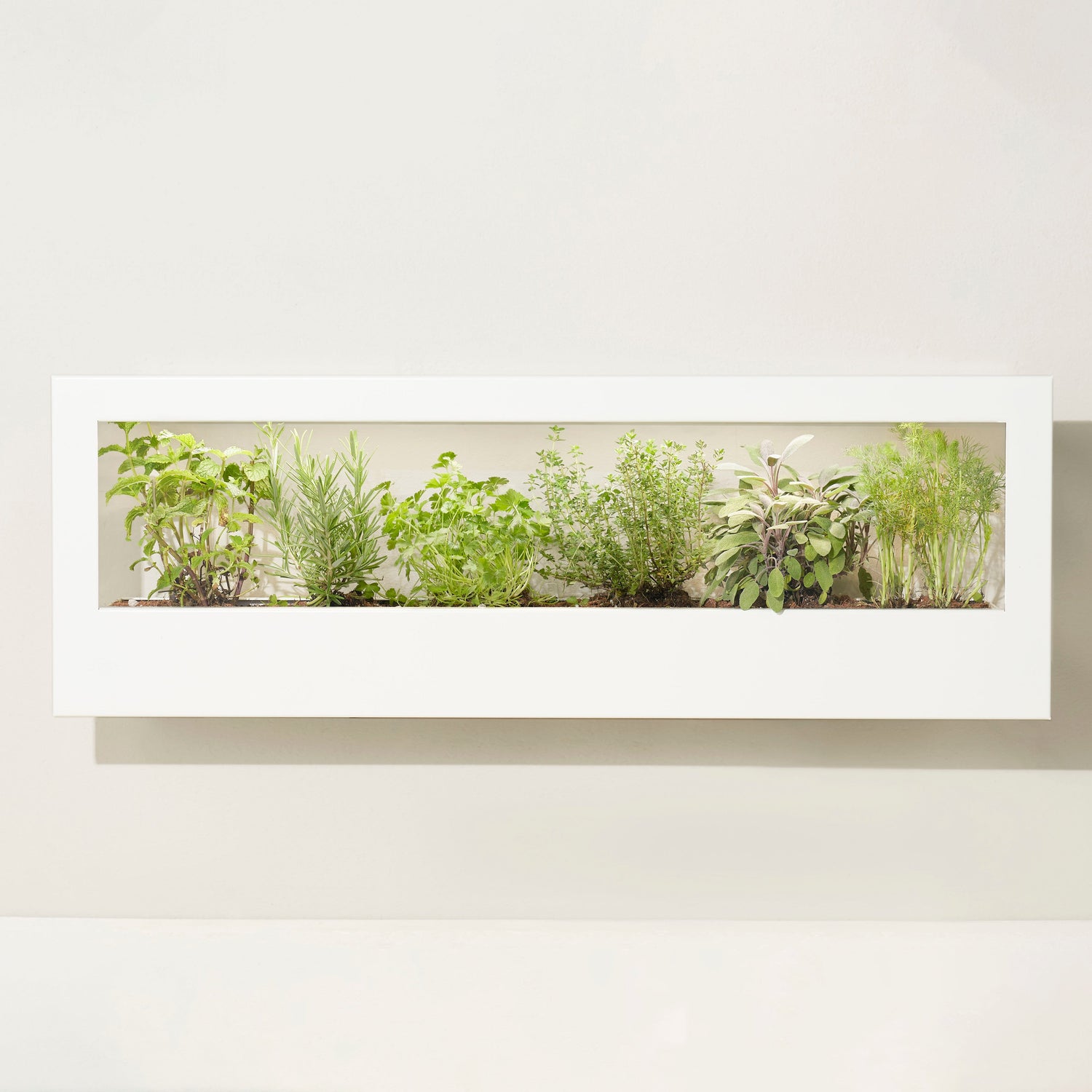 Smart Landscape Growframe
