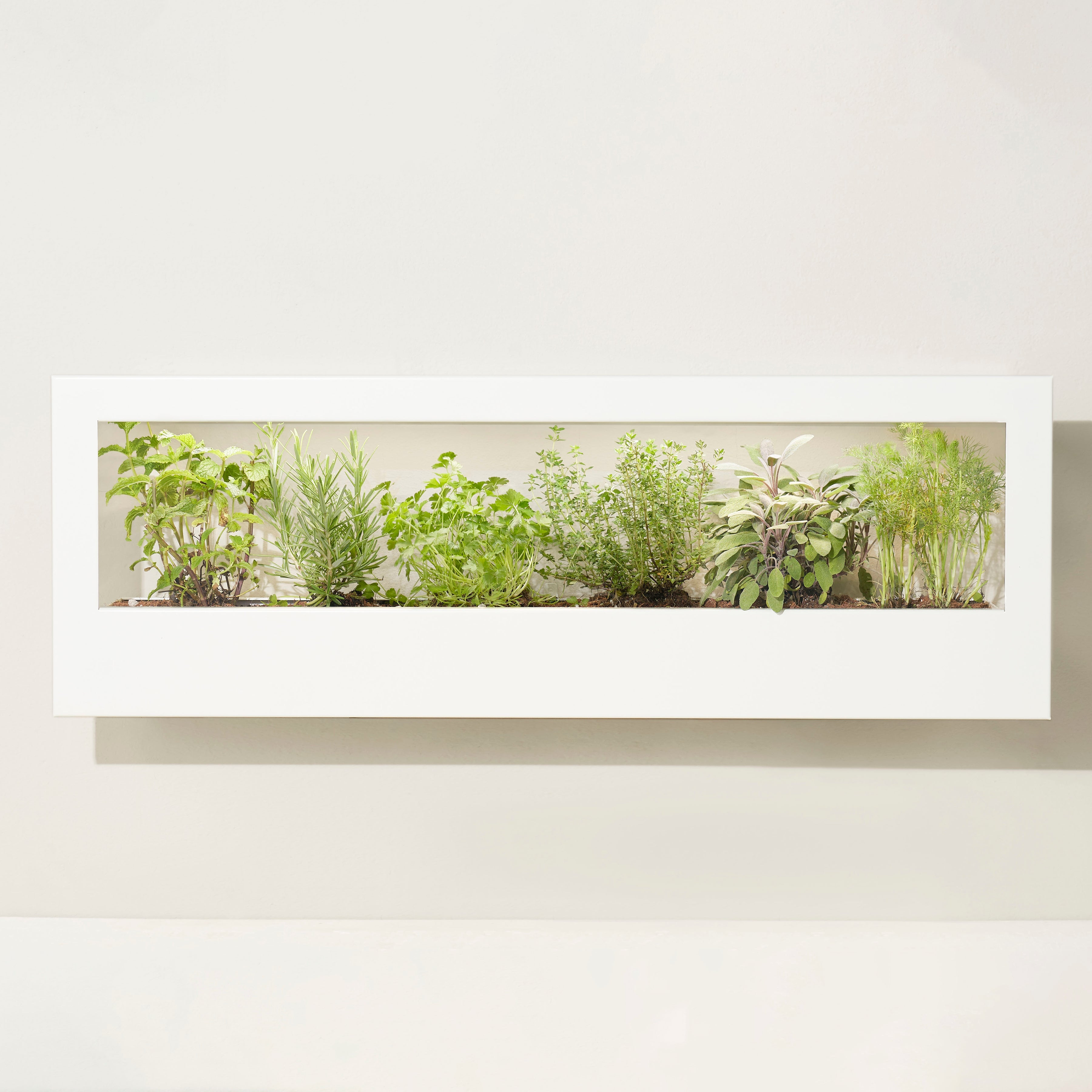 Smart Landscape Growframe