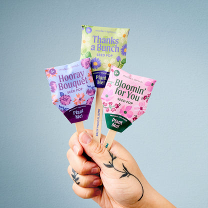 Seed Pops - Flowers