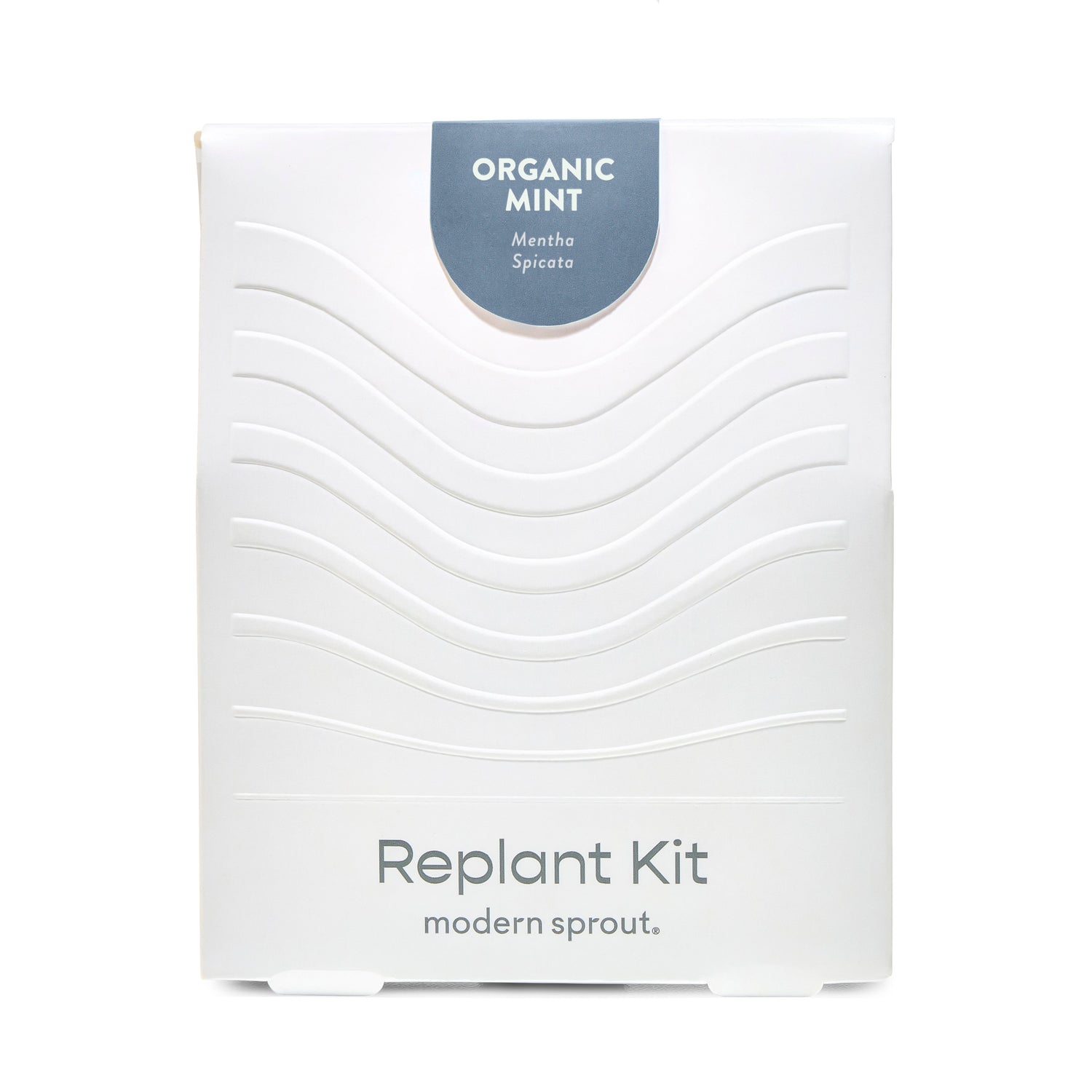 Immersion Hydroponic Replant Kit
