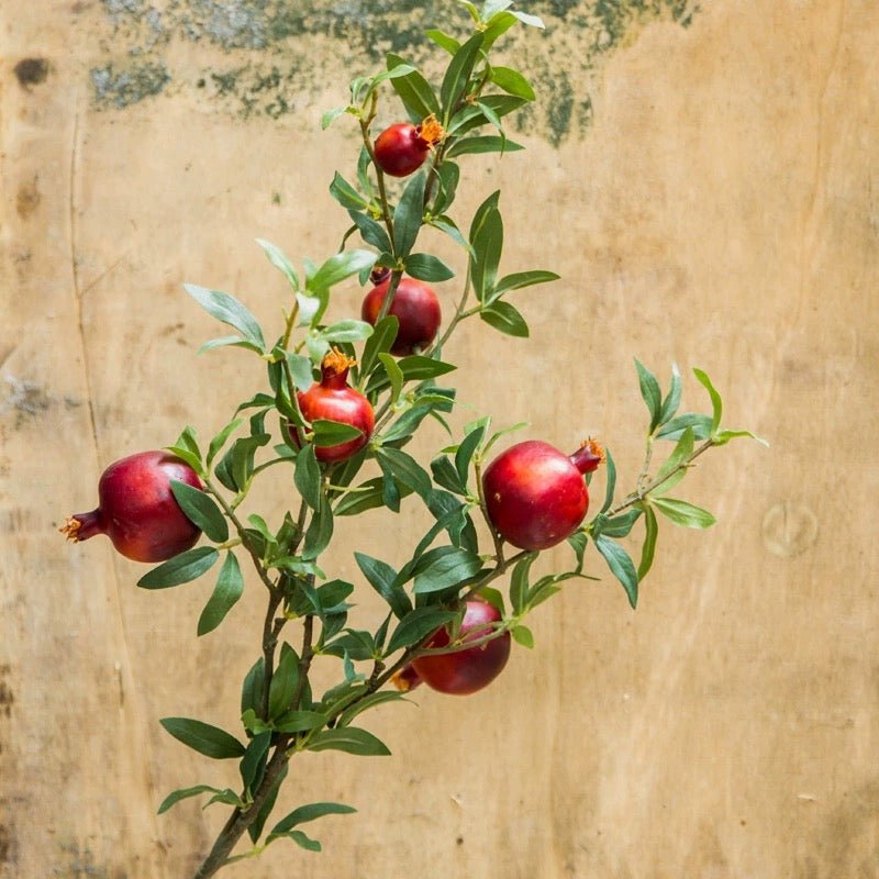 Big Fruit Faux Pomegranate Stem - 32