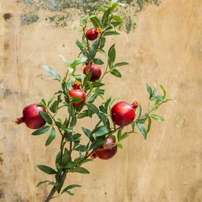 Big Fruit Faux Pomegranate Stem - 32