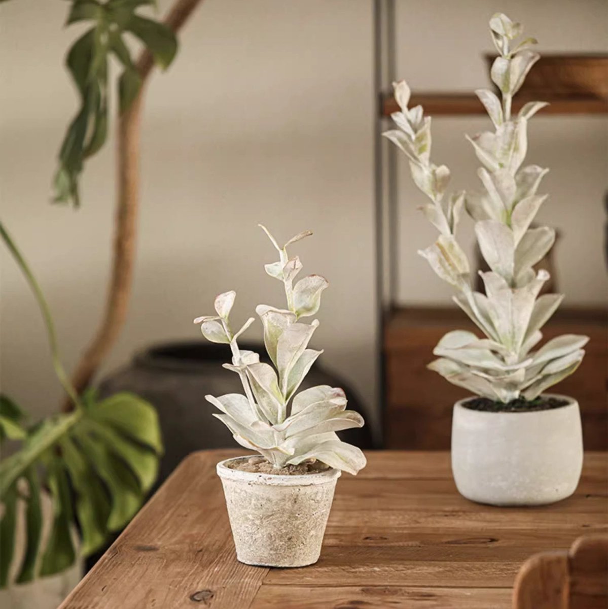 Realistic Faux Succulent Plant in Ceramic Pot