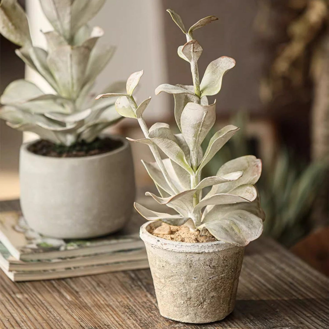 Realistic Faux Succulent Plant in Ceramic Pot