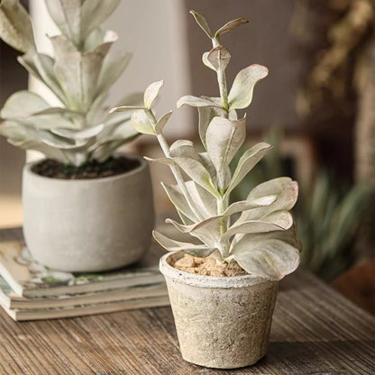Realistic Faux Succulent Plant in Ceramic Pot