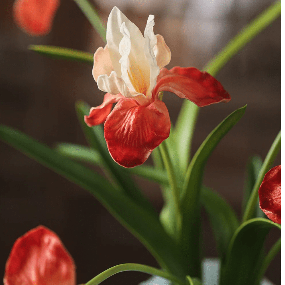 Silk Iris Flower - 22"
