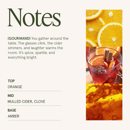 Maelyn - Sparkling Cider Mule 19oz Candle