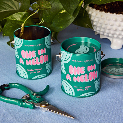 Playful Colors Grow Kits