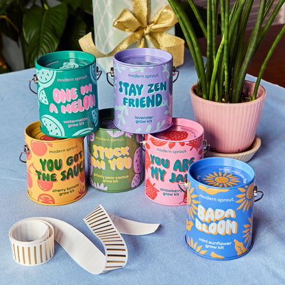 Playful Colors Grow Kits