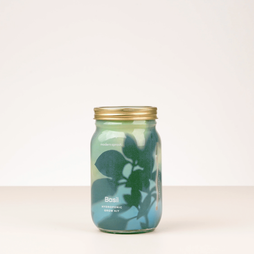 Organic Herb Jars