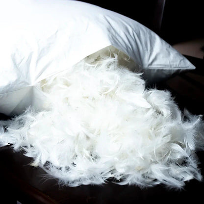 100% Cotton Goose Down Pillows - Multiple Sizes