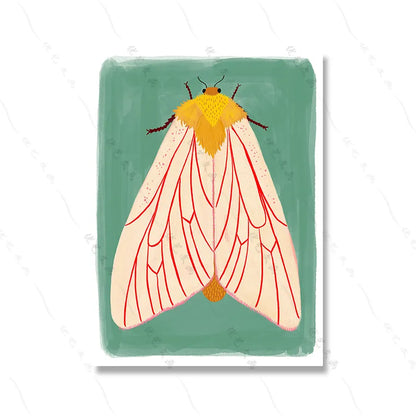 Colorful Butterfly Canvas Wall Decor