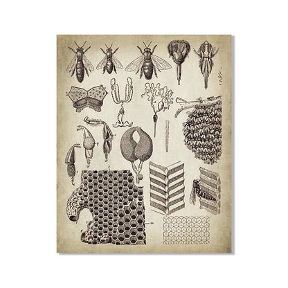 Vintage French Country Wall Art