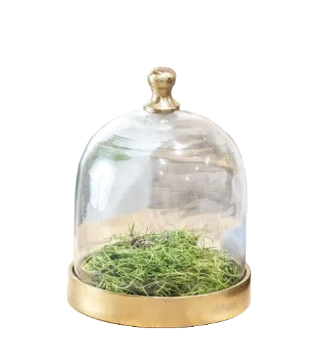 Glass Cloche with Gold Base, 3 Size Options