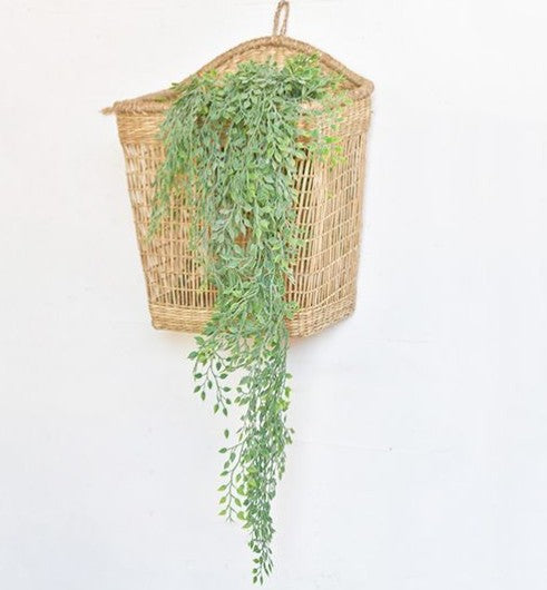 37" HANGING SYSYGIUM STEMS