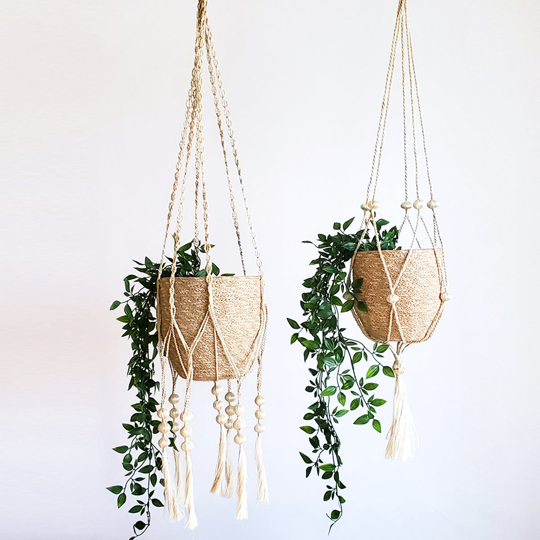 Plant Hanger - Fiora