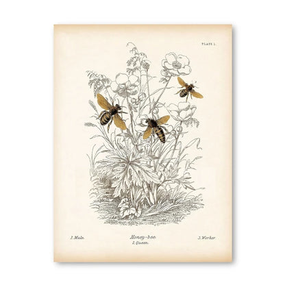 Vintage French Country Wall Art