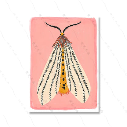 Colorful Butterfly Canvas Wall Decor