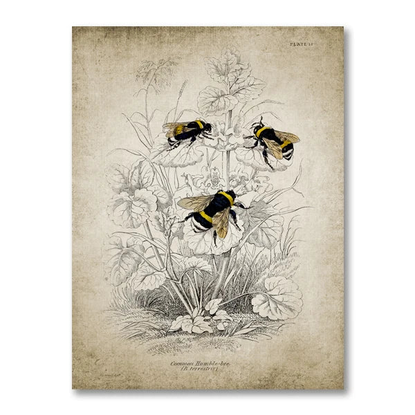 Vintage French Country Wall Art