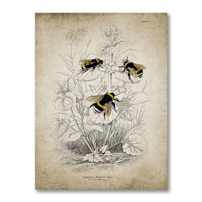 Vintage French Country Wall Art