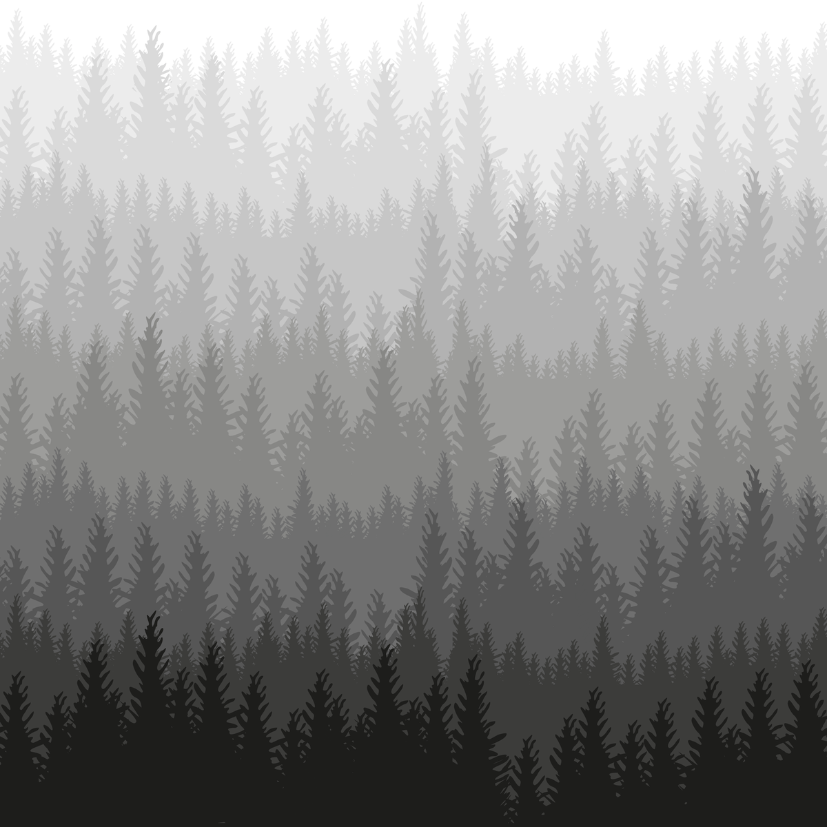 Woods Wallpaper