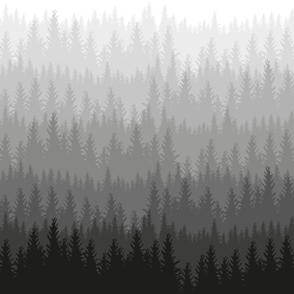 Woods Wallpaper
