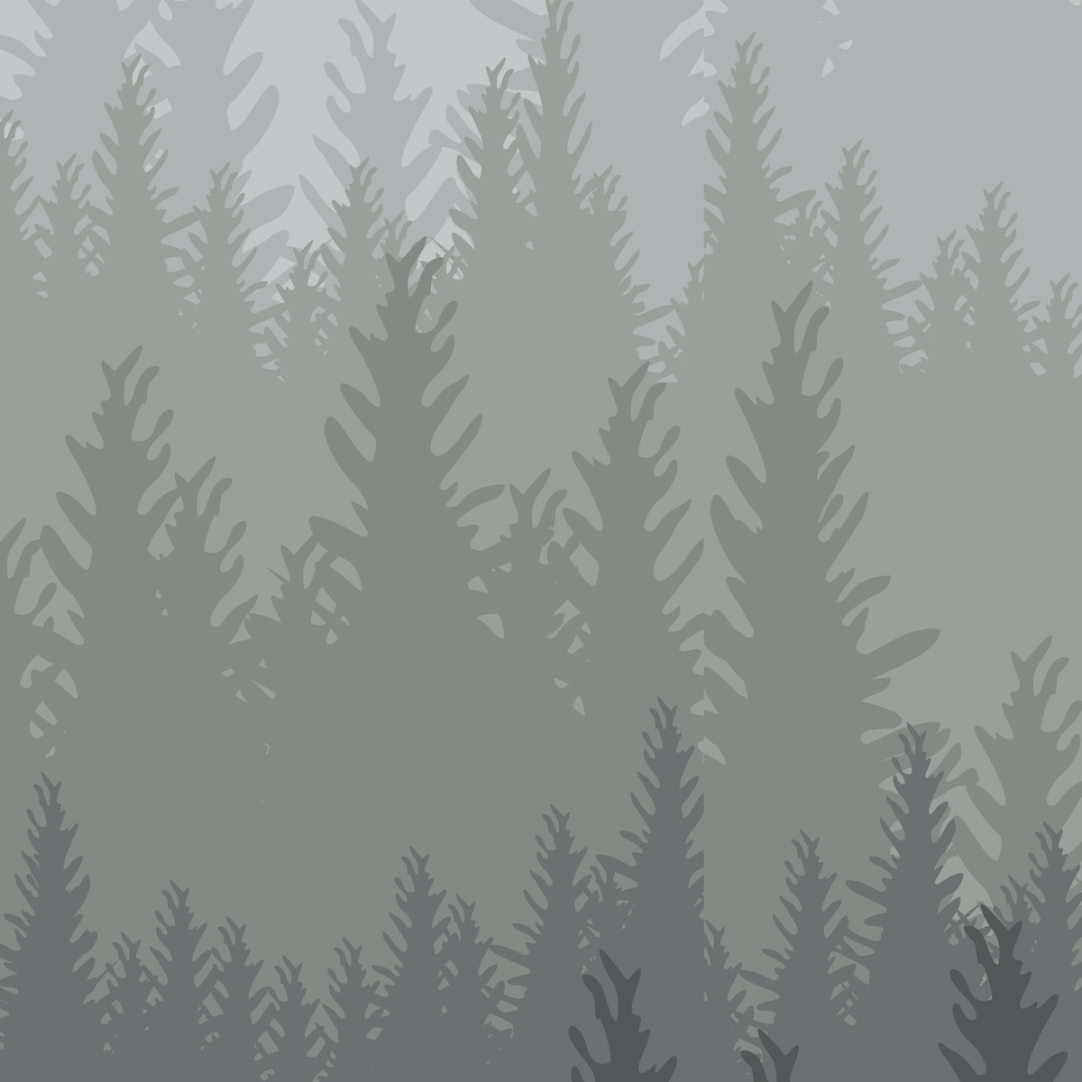 Woods Wallpaper