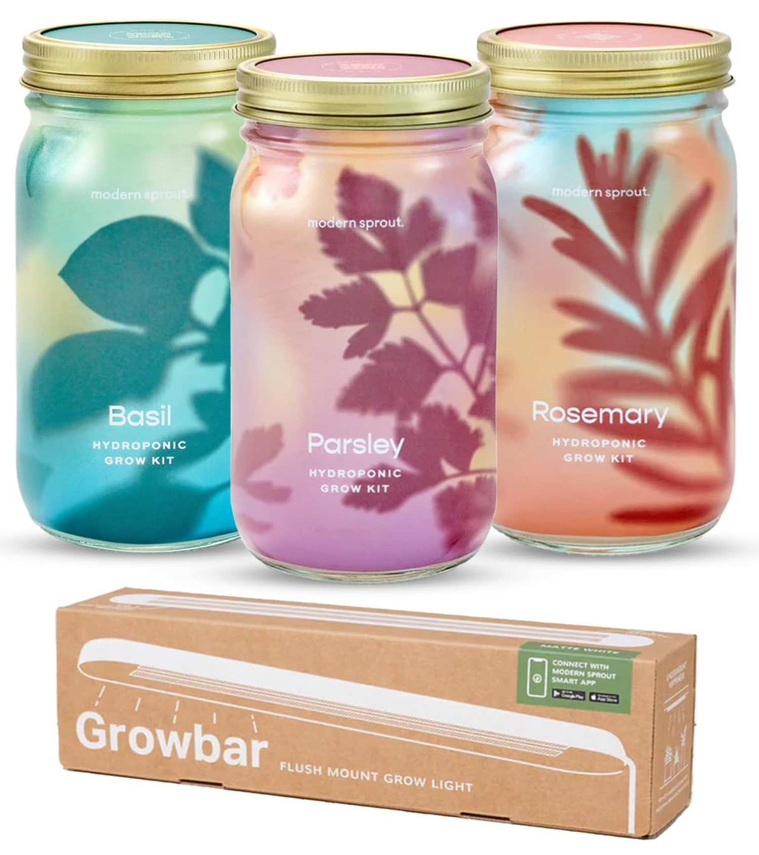 Organic Herb Jars