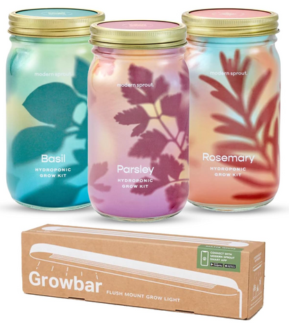 Organic Herb Jars