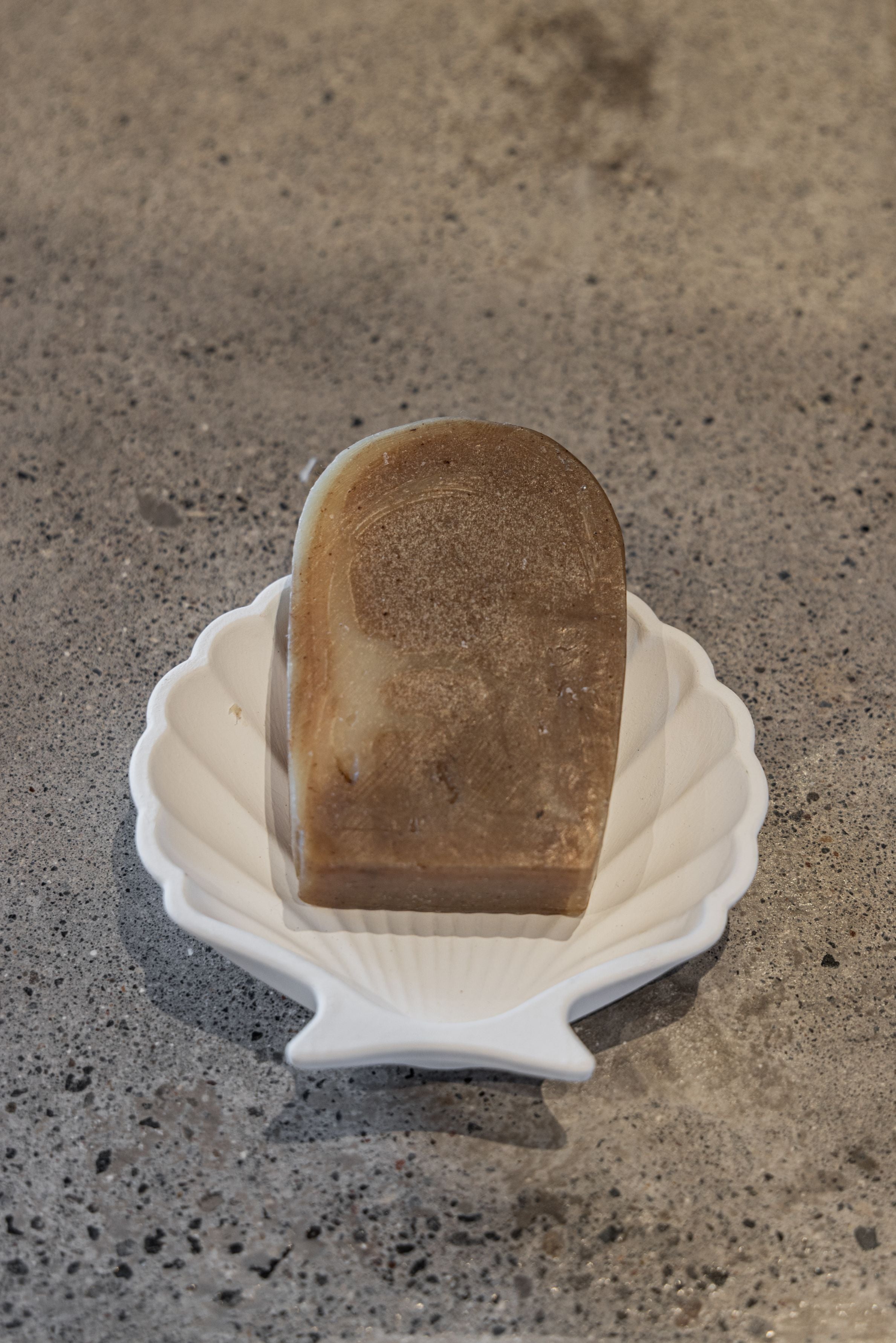 Stucco Shell Trinket Trays - 3 Colors