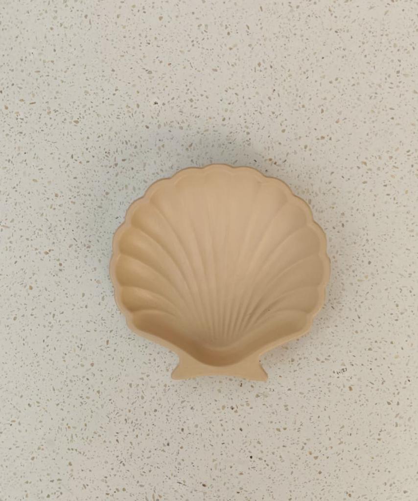 Stucco Shell Trinket Trays - 3 Colors