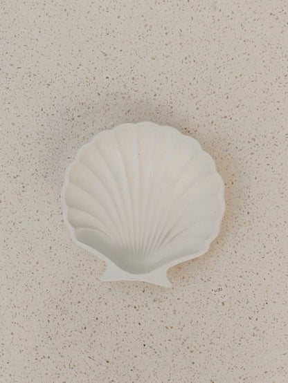 Stucco Shell Trinket Trays - 3 Colors