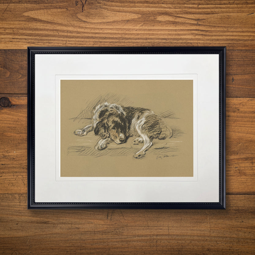 Sketched Dog Print in Black Frame 20 x 16 inch