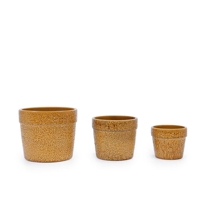 Set of 3 Honey Yellow Textured Ceramic Flowerpots