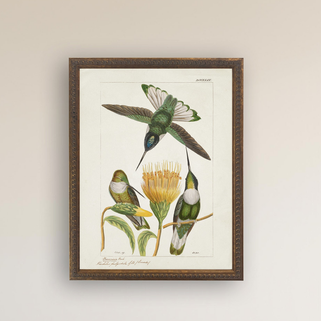 Hummingbirds and Yellow Flower in Bronze-Beaded Frame - 24 x 18 inch