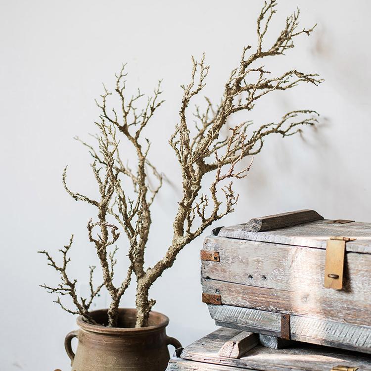 Artificial Dry Tree Branch Stem - 2 sizes