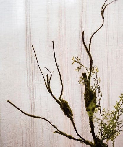 Artificial Plant Moss Rattan Stem 35" Tall