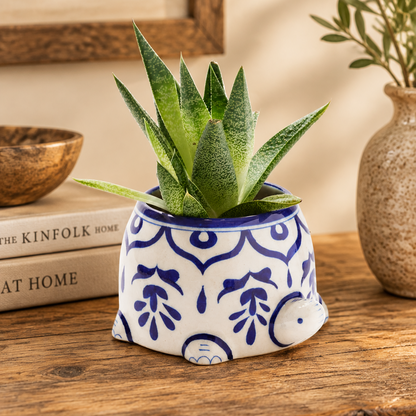 Lalita Mama Turtle Succulent Planter - White/Blue Hand Painted