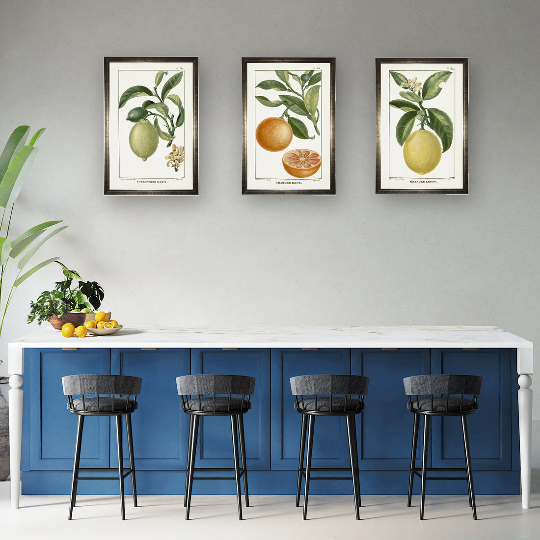 Lemon Plant in Silver Frame -  24 x 16 inch