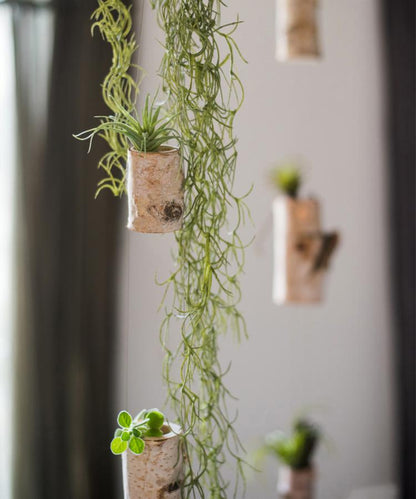 Birch Wood Hanging Mini Planters