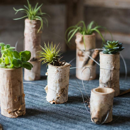 Birch Wood Hanging Mini Planters