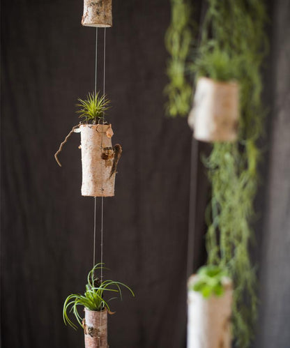 Birch Wood Hanging Mini Planters
