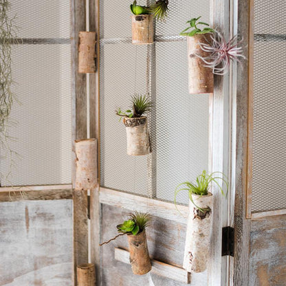 Birch Wood Hanging Mini Planters