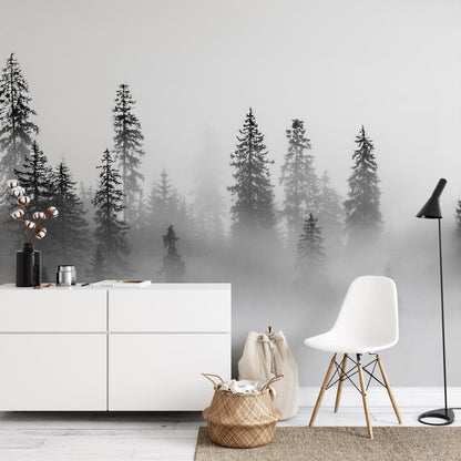 Black Pine Wallpaper