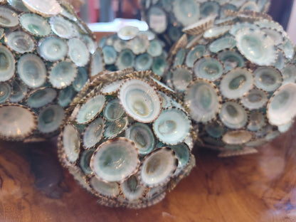 Handmade Blue-Green Limpet Sphere Balls