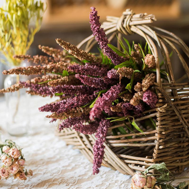 Buddleja Butterfly Bush Bundle - 17.7 inch