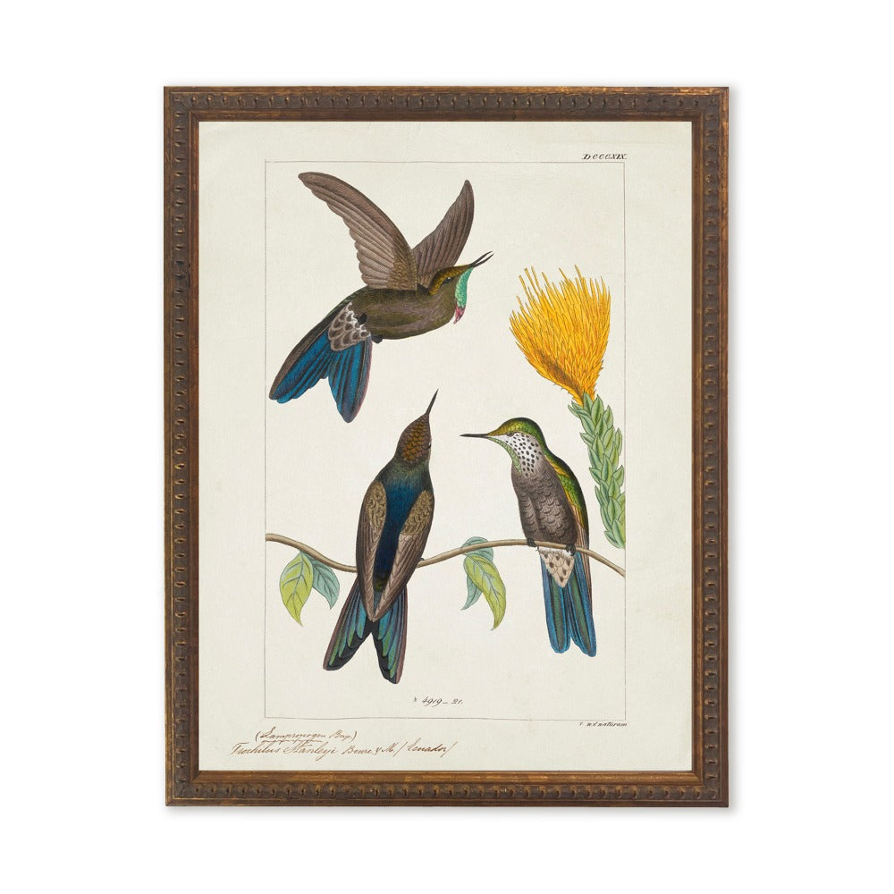 Hummingbirds Around Yellow Flower in Bronze-Beaded Frame - 24 x 18 inch